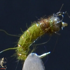 Beadhead Flash Black Caddis Olive