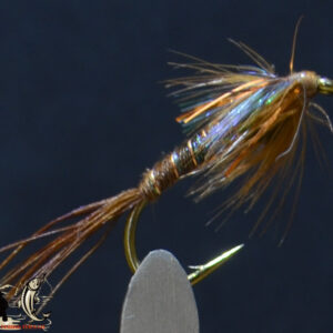 Mojo Pheasant Tail