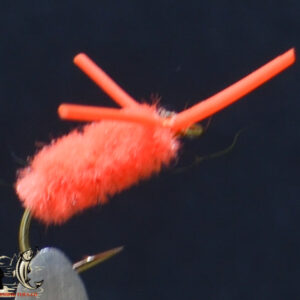 Blue Gills Spider Orange
