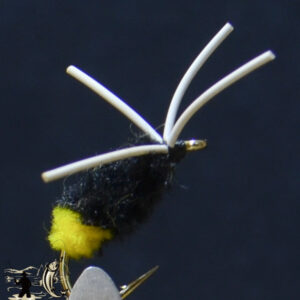 Blue Gills Spider Black/ Yellow Butt