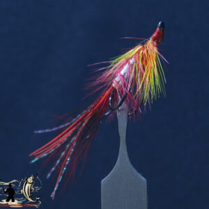 Pot Belly Pig Orange Salmon Double