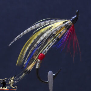 Silver Grey Full Dress Salmon