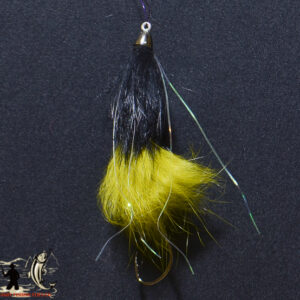 FlyCF1131_1002