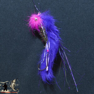 FlyCF1131_1013