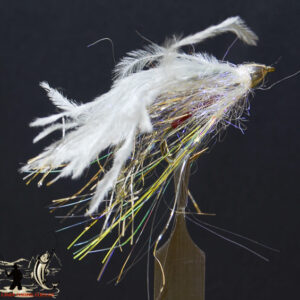 FlyCF1131_1045