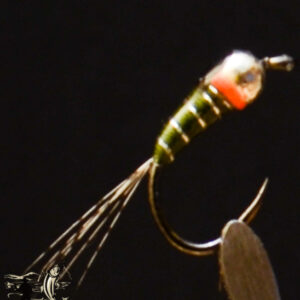 Perdigon Olive/Orange Spot