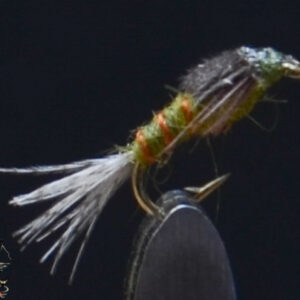 Blue  Wing Olive