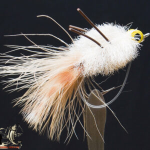 Pearl sand merkin crab