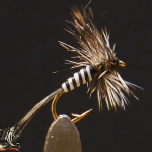 Mosquito