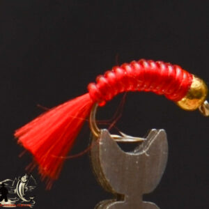 Bh blood worm