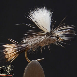 Hares ear parachute