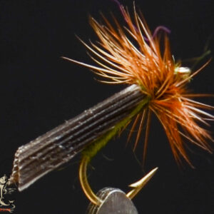 King river caddis olive