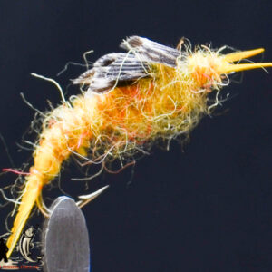 Golden stonefly