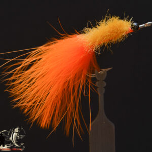 Sand crab orange