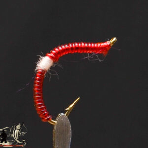 Blood worm sanjuan