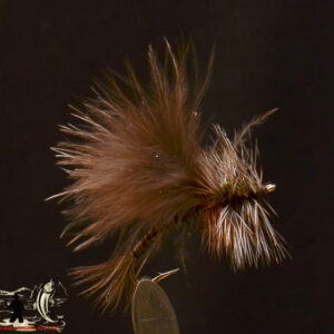 Isonychia cdc nymph