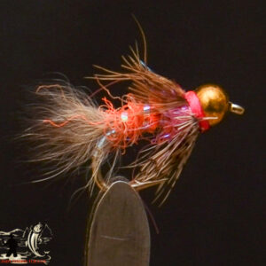 Enticer nymph