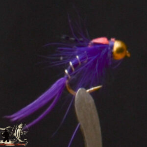 Royal purple nymph