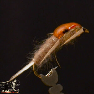 Bh sow bug grey