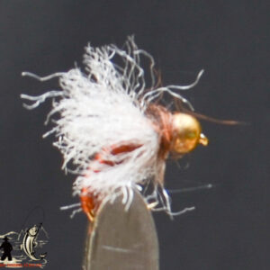 Bh pmet emerger