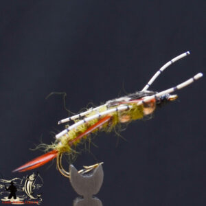 Olive speckleed stonefly