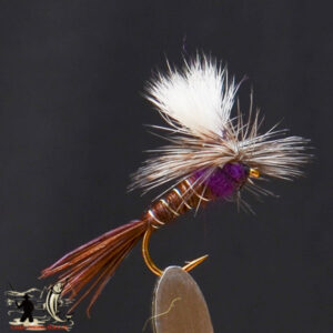 Parachute purple haze pheasant tail
