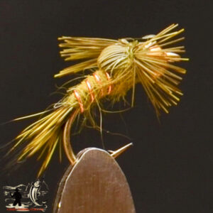 Bh barr hares ear olive