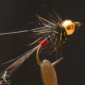 Black red death
