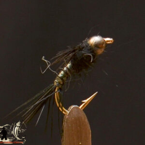 Black holo pheasant tail
