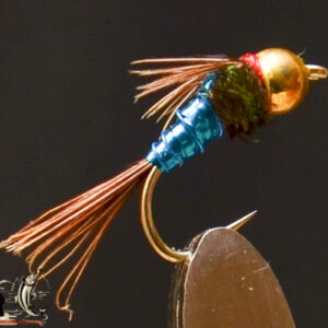 Blue hole pheasant tail