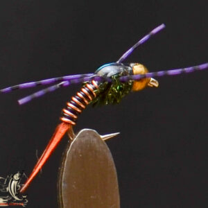 Purple speckled wired prince