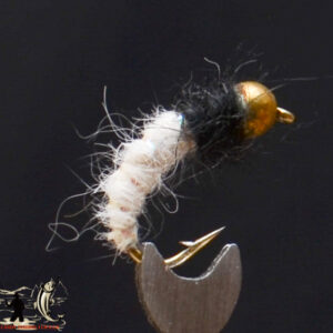 Caddis pupa tan