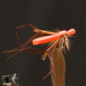 Foam orange daddy long legs