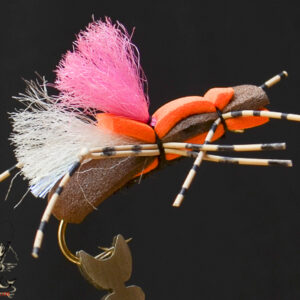 Brown /pink spot fat albert