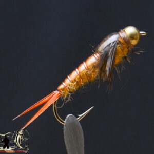 Brown stonefly