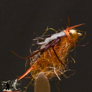 Sils rubber legs stonefly