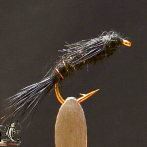 Black nymph