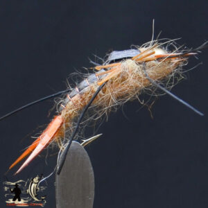 Bh nemee stonefly brown