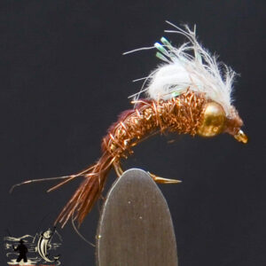 Bh pmd emerger