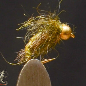 Scrutty caddis pupa olive