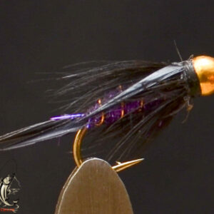 Royalty prince purple