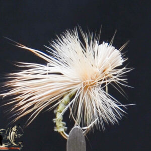 Mikulac sedge hog