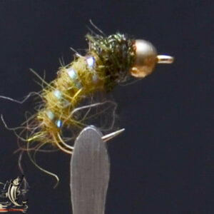 Bh caddis larva olive