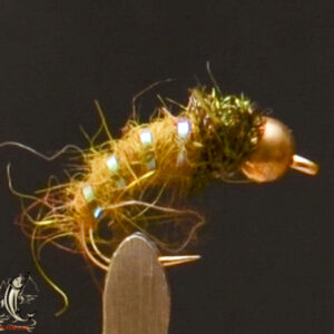 Bh caddis olive