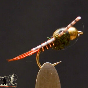 Bh master nymph