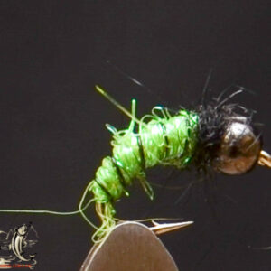Sparkle green caddis larva