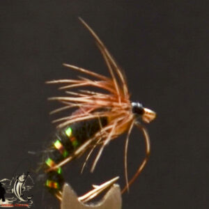 Softhackle black nymph