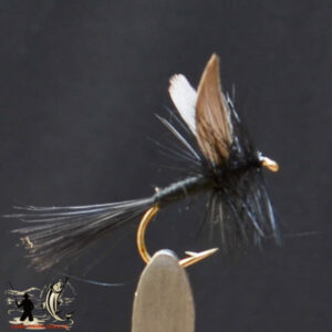 Brown nymph
