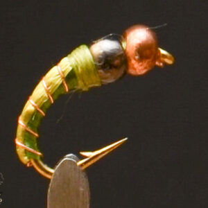 FlyCF1131_508