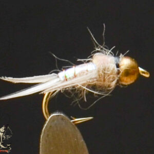 FlyCF1131_510